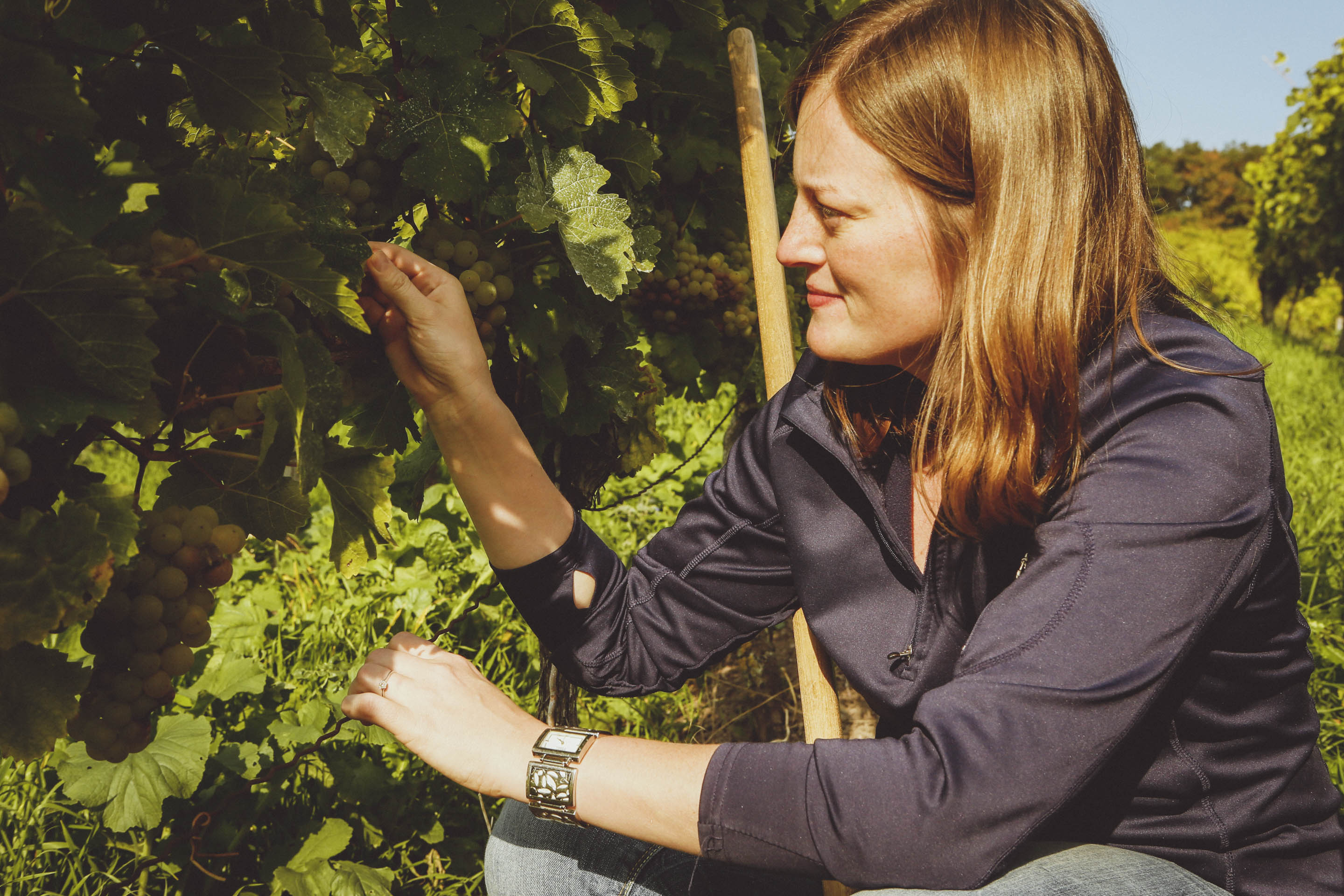 Silvia Emmerich kniet an einem ihrer Weinstöcke